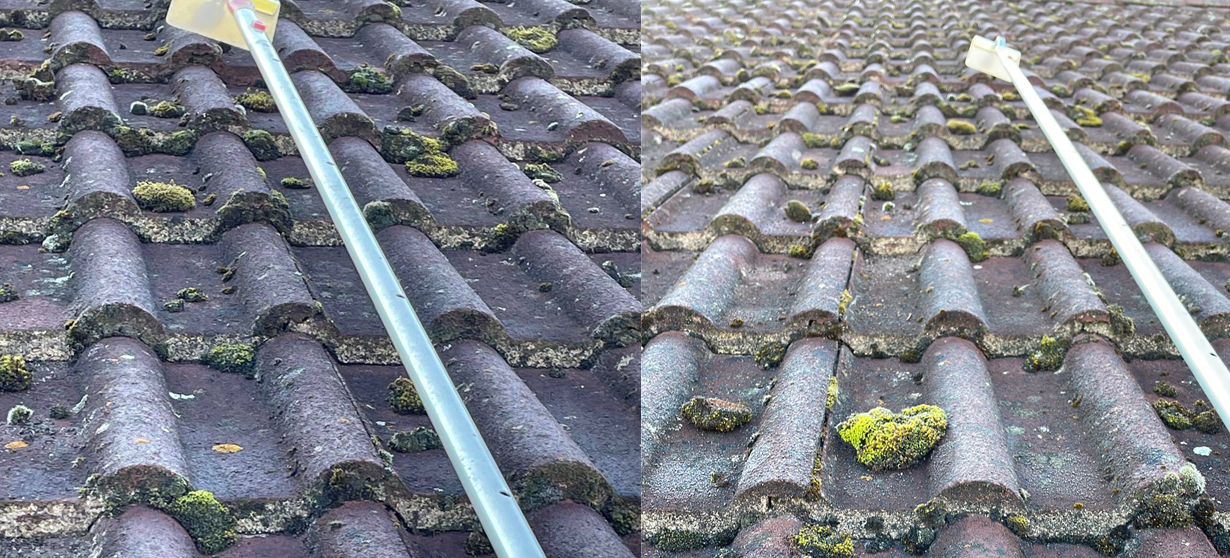 demoussage Allier 03, Cher 18, nièvre 58